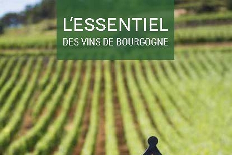 L'essentiel des Vins de Bourgogne - Version Française